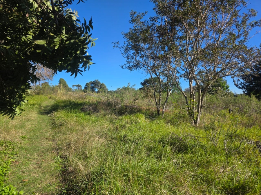 Commercial Property for Sale in Wilderness Heights Western Cape